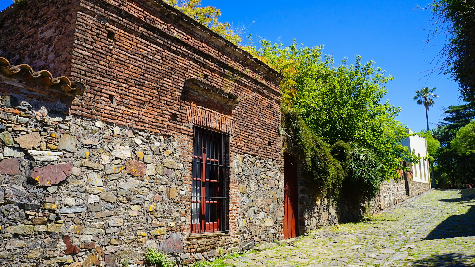 Closeup shot of a brick house